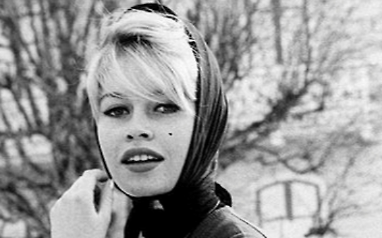 Brigitte Bardot, i ricci e quella lettera arrivata un anno prima dell&rsquo;addio