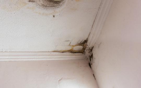 Infiltrazioni dall&rsquo;alloggio in affitto: quando il proprietario non risponde dei danni