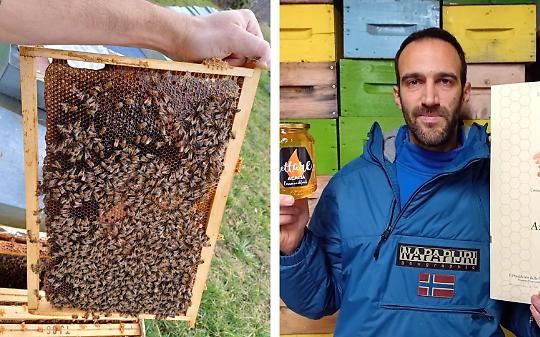 Il primo miele nato nei boschi certificati &egrave; della Valle Sacra: il Canavese apre una strada nuova