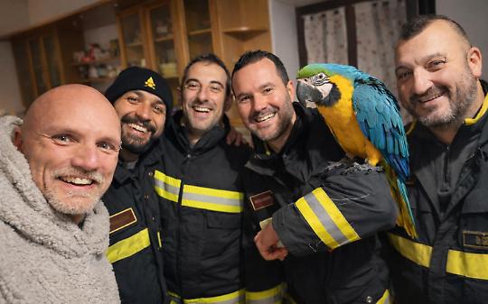 Il pappagallo salvato dai vigili del fuoco nel gelo del bosco