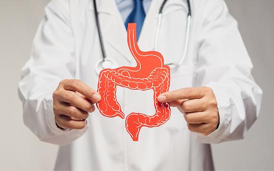 Supporto naturale con Prodiga per un intestino sano e una vita equilibrata