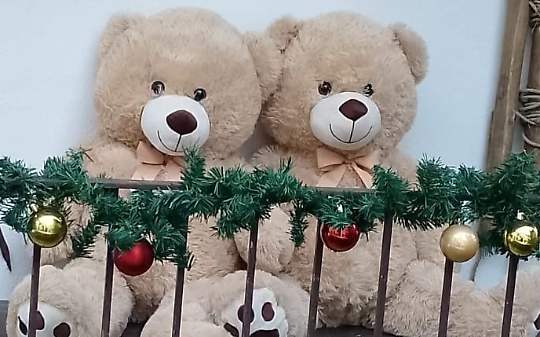 Boom di partecipazione alla &ldquo;Caccia all&rsquo;orso&rdquo; in Canavese: ecco i vincitori