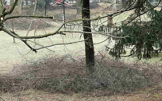 Fervet opus, parco Martinotti a Favria.