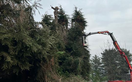 Fotovoltaico all&rsquo;ombra, alberi tagliati e bambini a scuola: a Cossano il cantiere &egrave; una farsa