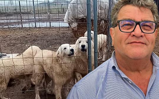 Cani nel fango a Carmagnola: tra i proprietari c&rsquo;&egrave; l&rsquo;assessore all'ambiente...