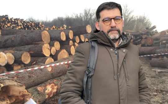 Il presidente di Pro Natura Piemonte, Umberto Lorini e di sfondo gli alberi abbattuti ad Orio Canavese