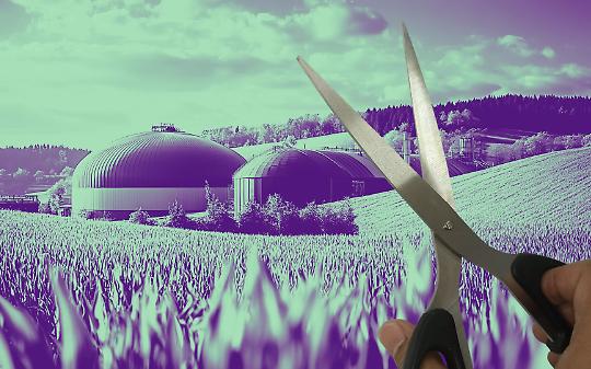 Tagliare il biogas agli allevatori mentre l&rsquo;energia costa sempre di pi&ugrave;: una scelta che rischia di affossare la transizione verde