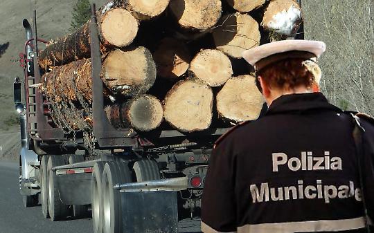Tir di legname finisce fuori strada a Chieri: traffico rallentato per ore