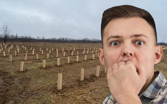 Alberi piantati nel posto sbagliato: a Montanaro scoppia il caso