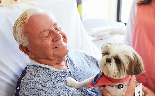 Cani e gatti contro la solitudine: la Lega porta la pet therapy in Consiglio