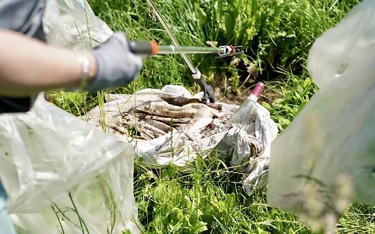 Una tonnellata di rifiuti