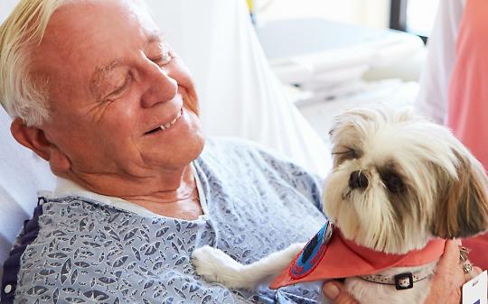 Pet therapy, il Consiglio comunale ha detto s&igrave;: approvata all&rsquo;unanimit&agrave; la mozione della Lega