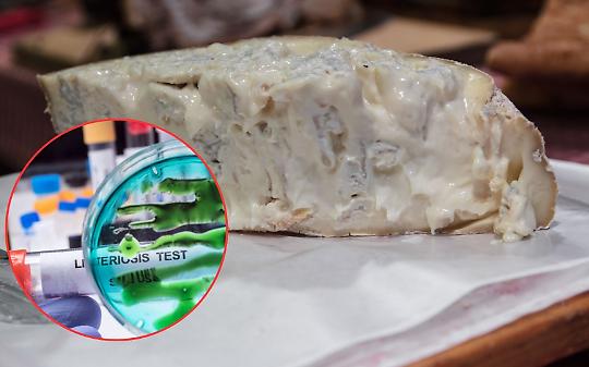 Listeria nel gorgonzola