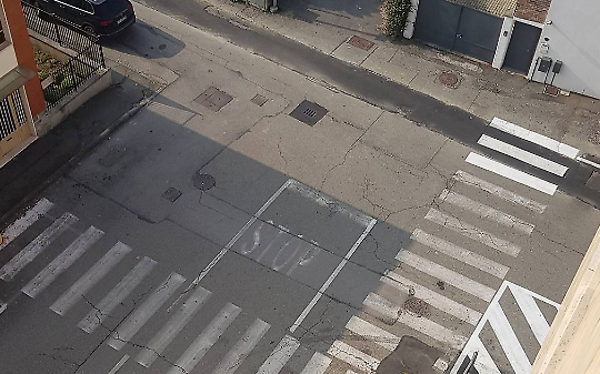 Area cani con sorpresa: separati sulla carta, uniti sotto la rete