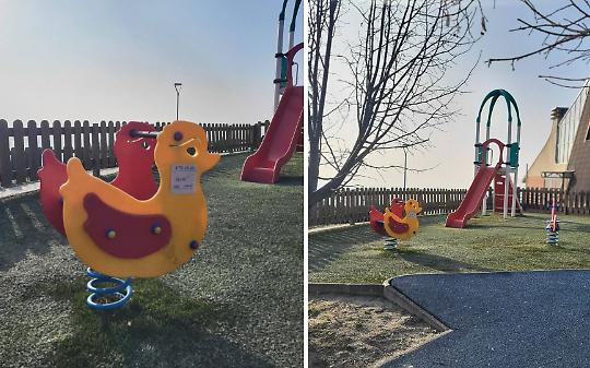 Nido di vespe sotto il gioco dei bimbi: allarme a San Raffaele Cimena