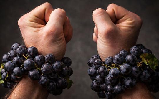 Il lato oscuro del Barolo