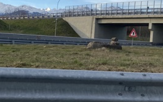 &laquo;Quelle pietre all&rsquo;uscita di Scarmagno: per me sono un piccolo monumento&raquo;