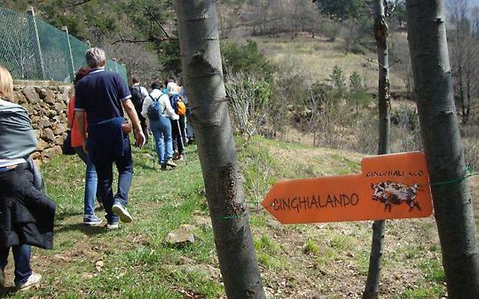 Val della Torre celebra il gusto