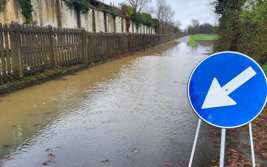 Maltempo nel Canavese e nel Chivassese: alberi abbattuti, linee interrotte e Po in piena