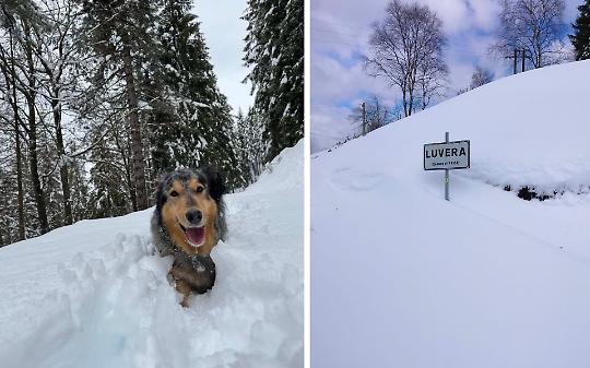 Oltre un metro di neve a Bielmonte: venti persone isolate, rischio valanghe