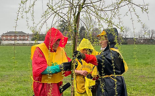 Volpiano, piantato un salice dedicato a Ebru Timtik: la prima Festa dell&rsquo;Albero sotto la pioggia