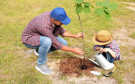 Valperga, gli studenti piantano alberi
