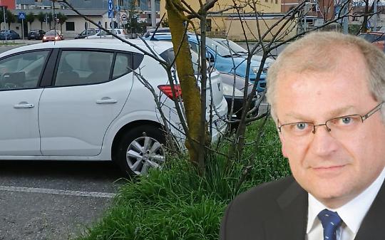 Settimo Torinese, la citt&agrave; dei "ceppi" e degli alberi morti