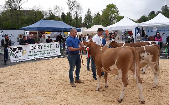 Fiera di San Giorgio