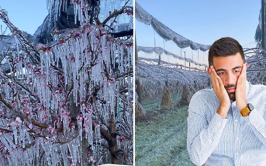 Gelo sui frutteti, il conto del clima non pu&ograve; pagarlo solo chi coltiva