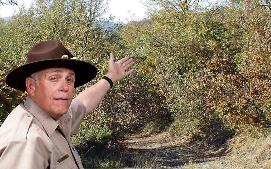 Bosco del Vaj, l&rsquo;Ente Parco replica alle proteste: &ldquo;Lavori necessari dopo l&rsquo;alluvione&rdquo;