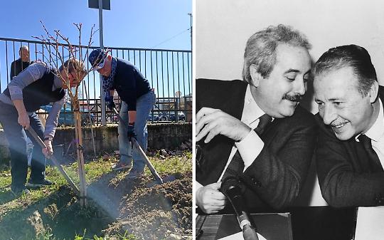 Un albero per Falcone e Borsellino davanti alla scuola: a San Mauro la legalit&agrave; mette radici