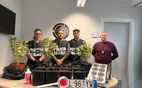 La multa a una nonnina scattata dal T-Red di Nole fa scoprire un'auto "fantasma" e una coltivazione di marijuana