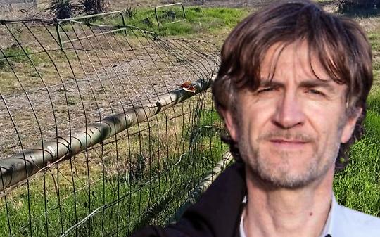 Da area degradata a polo del verde