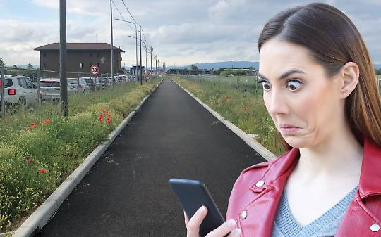 &laquo;Gli alberi in paese sono troppi, non ne piantiamo pi&ugrave;&raquo;: ma chi li ha visti?