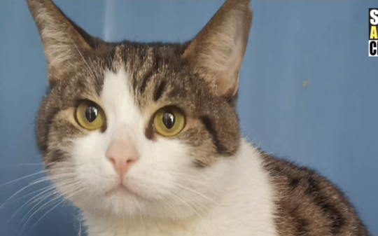 Chiusi in un garage al buio