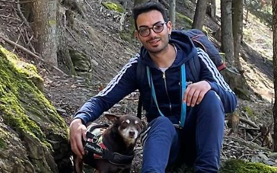 Stai sbagliando con il tuo cane? Gli errori pi&ugrave; comuni da evitare