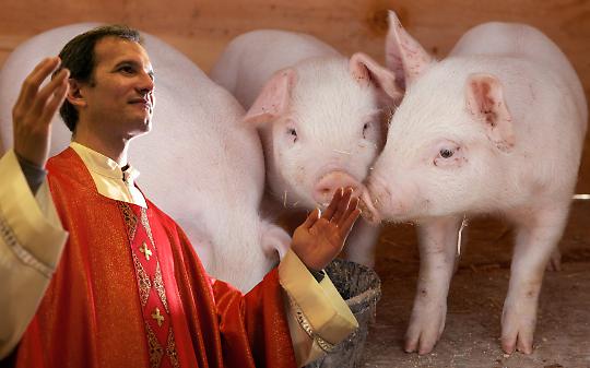 Dal Vangelo al macello: quando in diocesi spariscono pi&ugrave; capre che peccati