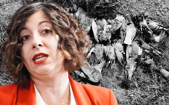 Sarah Disabato del Movimento 5 Stelle