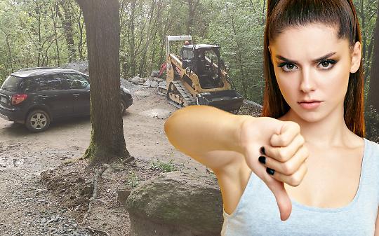 Bosco del Vaj, non si ferma la protesta: firme in aumento. Chiesta la sospensione dei lavori