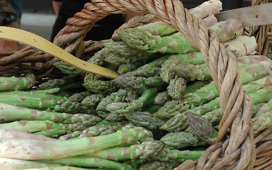 Santena, la Sagra dell&rsquo;Asparago
