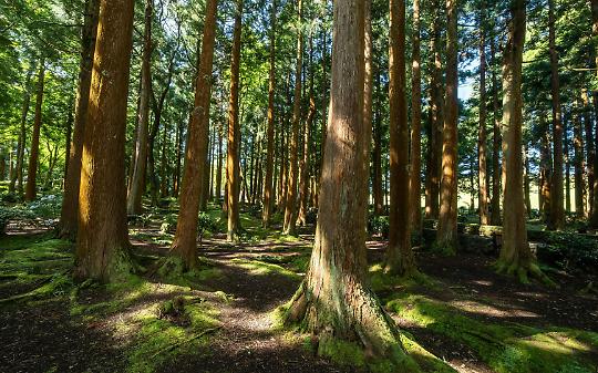 Dalle Valli di Lanzo 