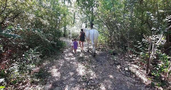 Non solo la famiglia di Palmoli: anche Lauriano, nel Chivassese, ha avuto il suo caso di minori che vivevano in un bosco - Giornale La Voce