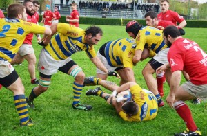 VII Rugby