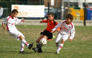 Cresce l'attesa per il torneo La Volpe