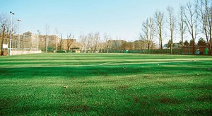 Il campo del Barcanovasalus