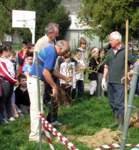 Ivrea scuola Olivetti nonni al lavoro 2014