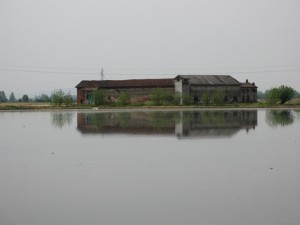 Una cascina come un'isola 