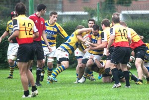 VII Rugby
