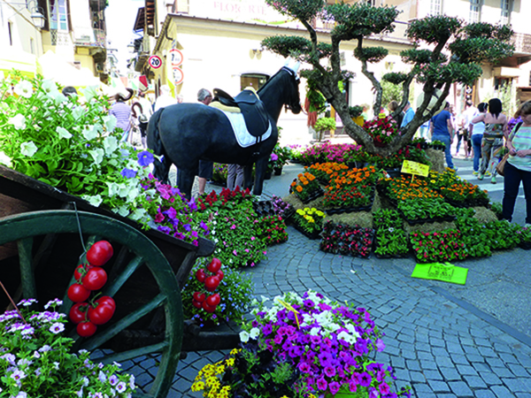 florartè cuorgnè