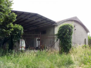 San Giorgio sede Cri Consorzio Agrario